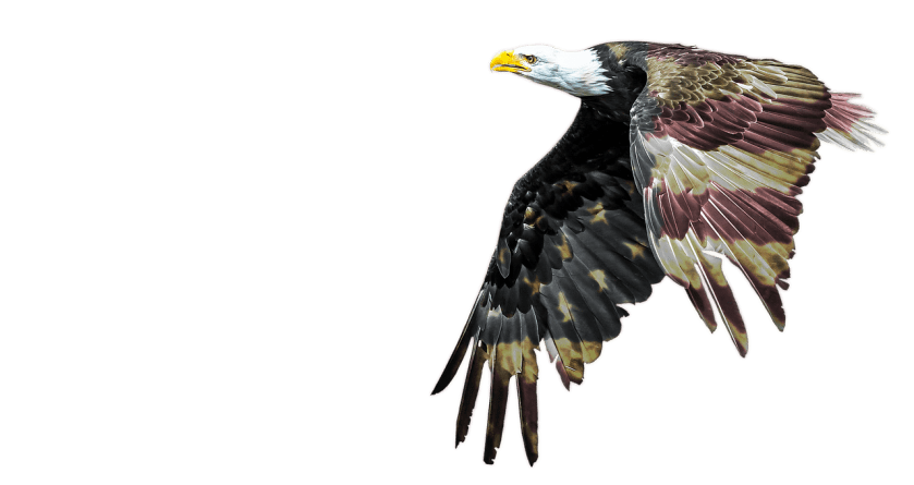 bald-eagle-4334017_1280